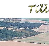 Willkommen bei Tilleda-online.de
